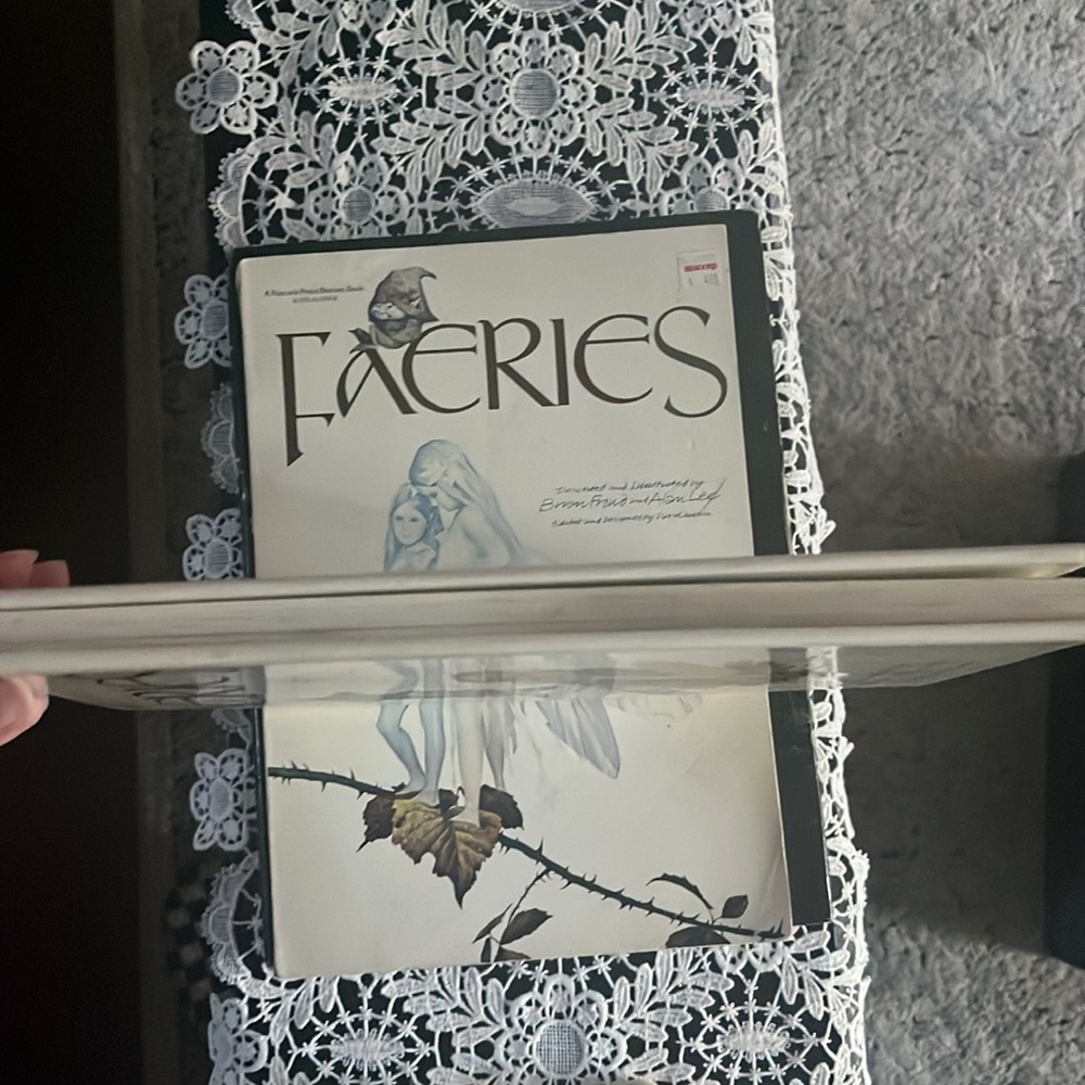 Faeries 1978 hardcover vintage Illustrated Book by Brian Froud and Alan Lee - Picture 7 of 10